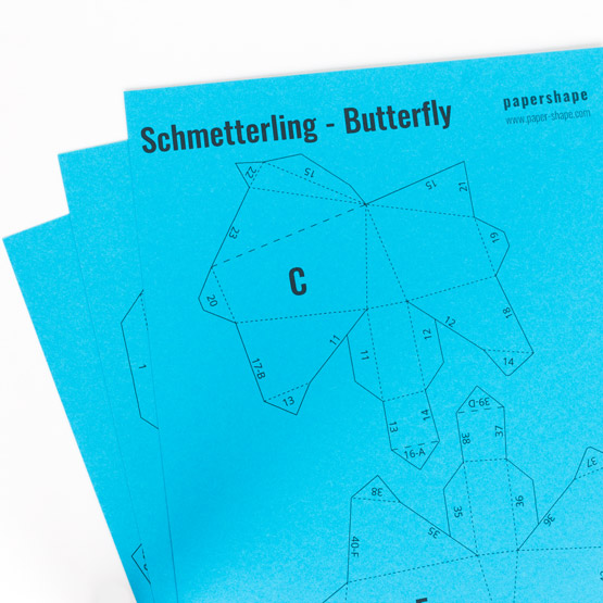 Step: Download the butterfly template